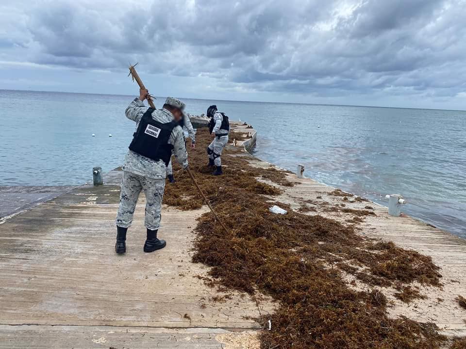 Encuentran droga entre el sargazo en playas de Tulum y Cozumel - Diario  Sureste