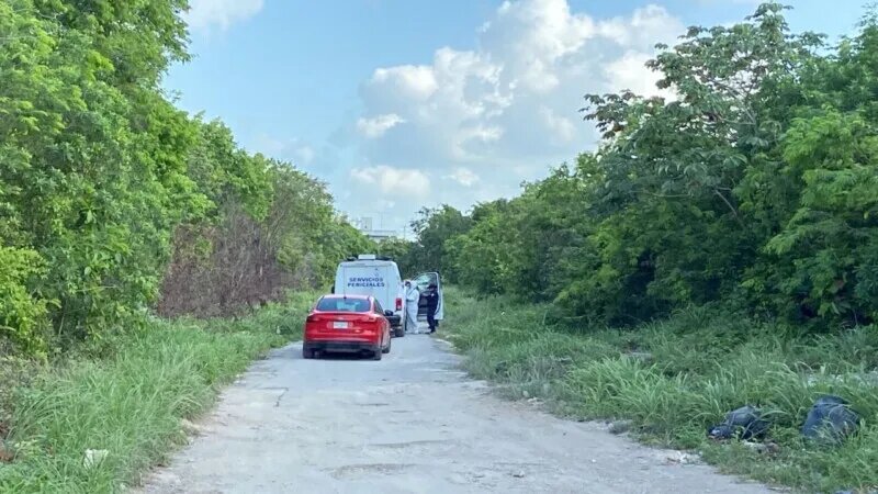 Encuentran El Cuerpo Sin Vida De Una Persona En La Sm 206 De Cancún Diario Sureste 5405